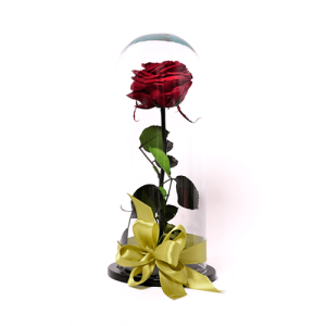 Rosa sempre viva - Rosa siempre viva