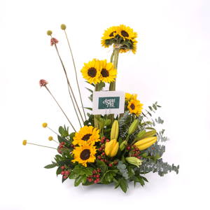 Girasole d'amore - Girasoles de amor