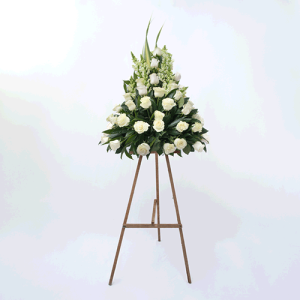 Fiori che donano pace - Flores que dan paz