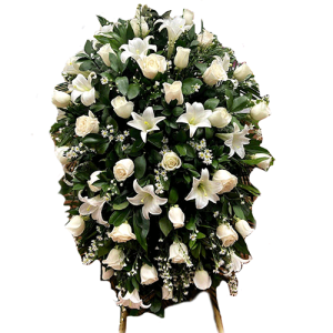 Giglio de la pace - Lirio de la paz