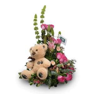 Orso da festa gerbera - Osito de fiesta gérbera
