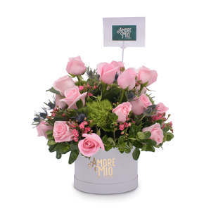Principessa dei fiori rosa - Princesa de las rosas